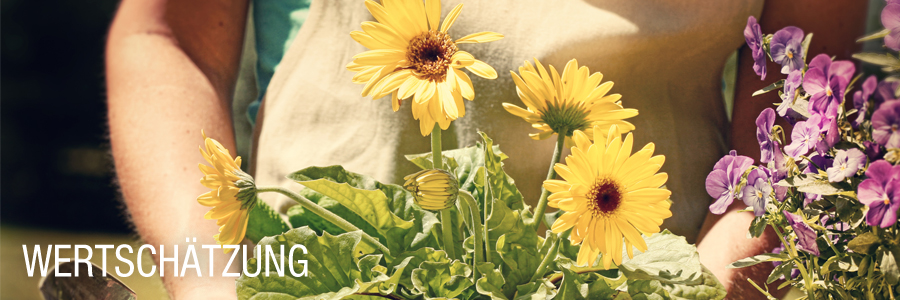 incura24 - Pflegebetreuungs KG